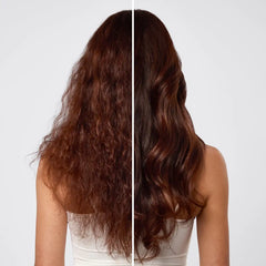 Priming Argan Oil Heat Protectant & Styling Mist