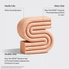 Winter Welcome Kit Rice Water Shampoo & Conditioner Bar Combo for Hair Growth