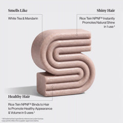Rice Water Shampoo & Conditioner Bar Combo for Hair Growth