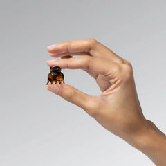 Black & Tort Micro Cloud Clip Set